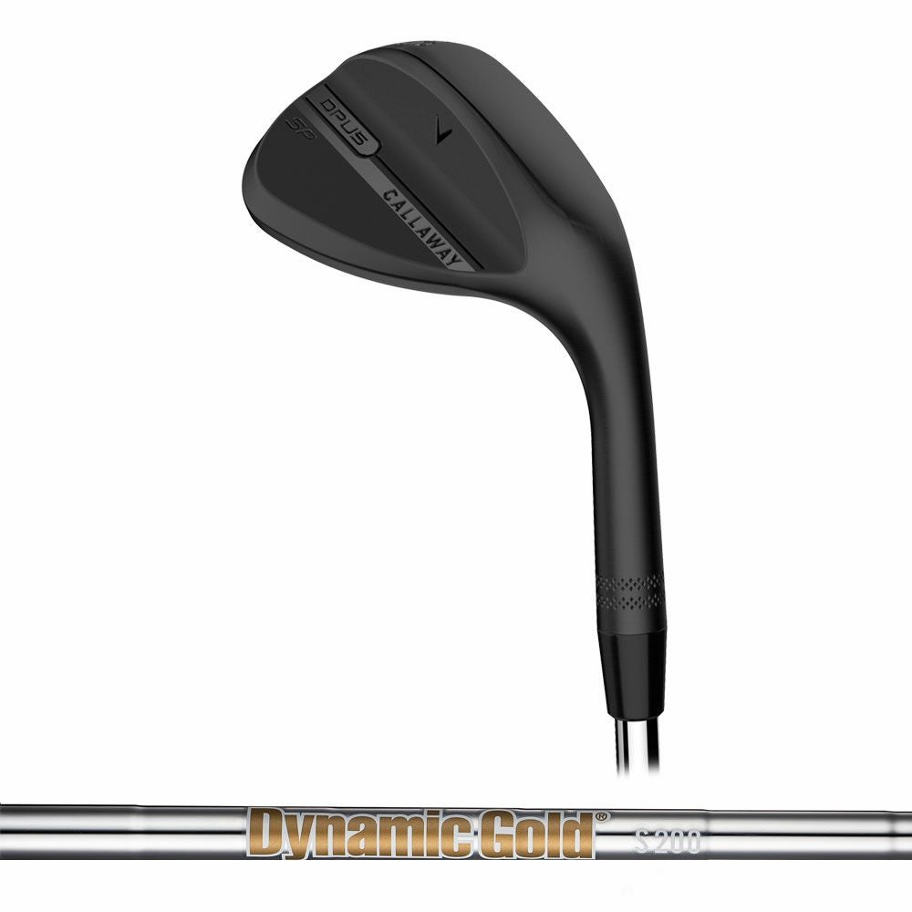 キャスコ kasco ドルフィンウェッジ ゴールド DW-123 True Temper