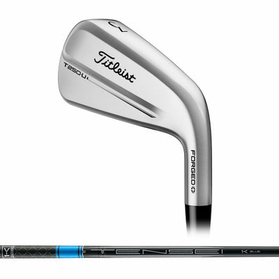 タイトリスト Titleist T250 アイアン(6本セット) N.S.PRO MODUS3 TOUR 