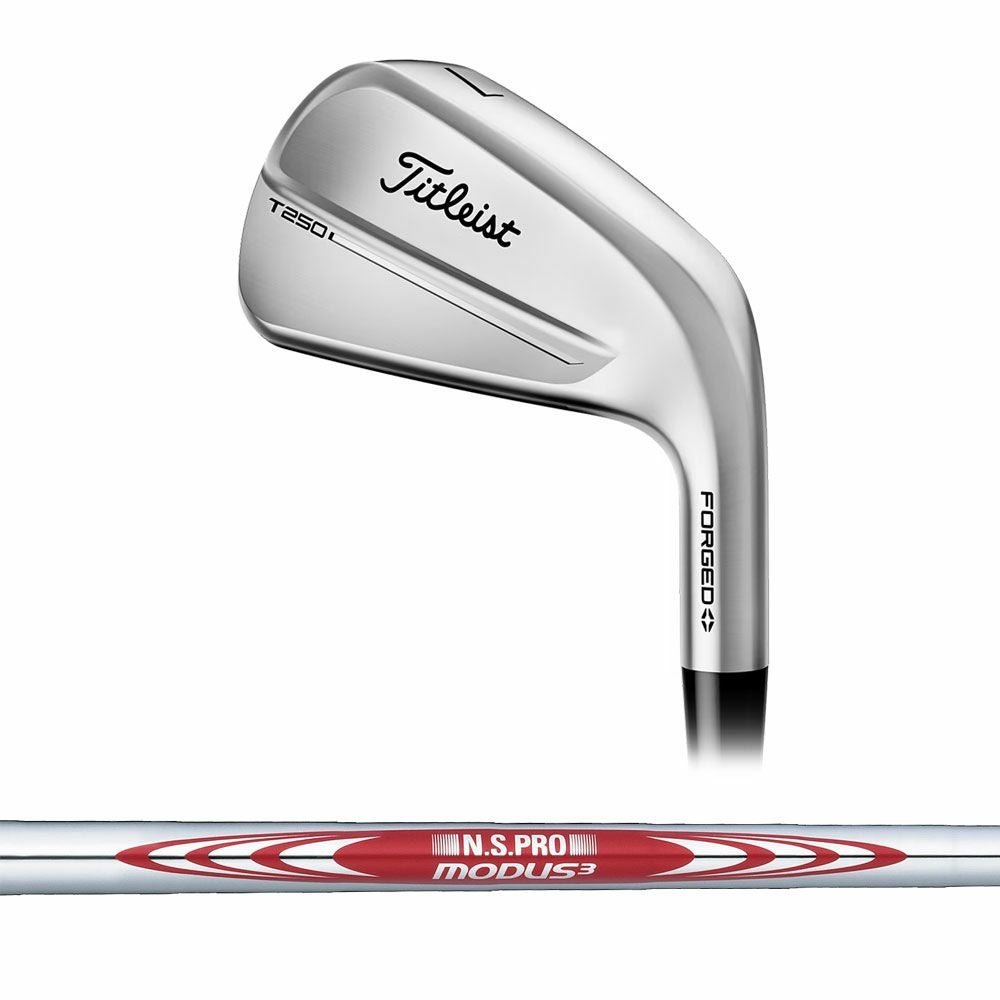 タイトリスト Titleist T250 アイアン(6本セット) N.S.PRO 880 AMC