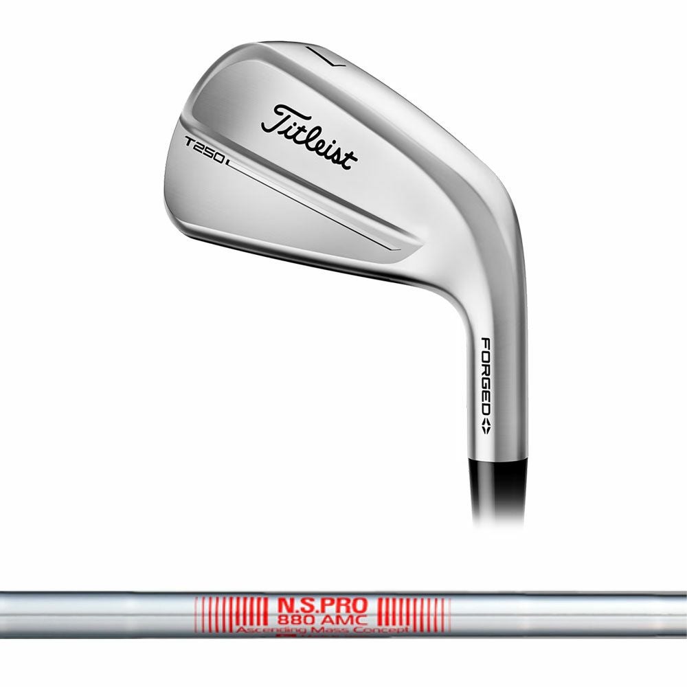 タイトリスト Titleist T250 アイアン(6本セット) N.S.PRO 880 AMC