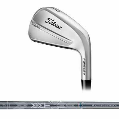 タイトリスト Titleist T250 アイアン(6本セット) N.S.PRO 880 AMC 